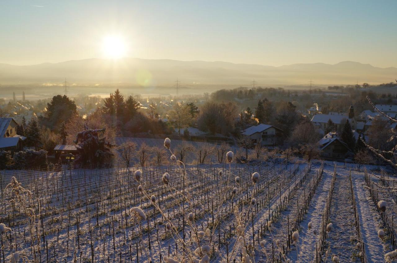 Weingut Landmann Ferienwohnungen Freiburg im Breisgau Exterior photo